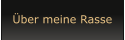 Über meine Rasse